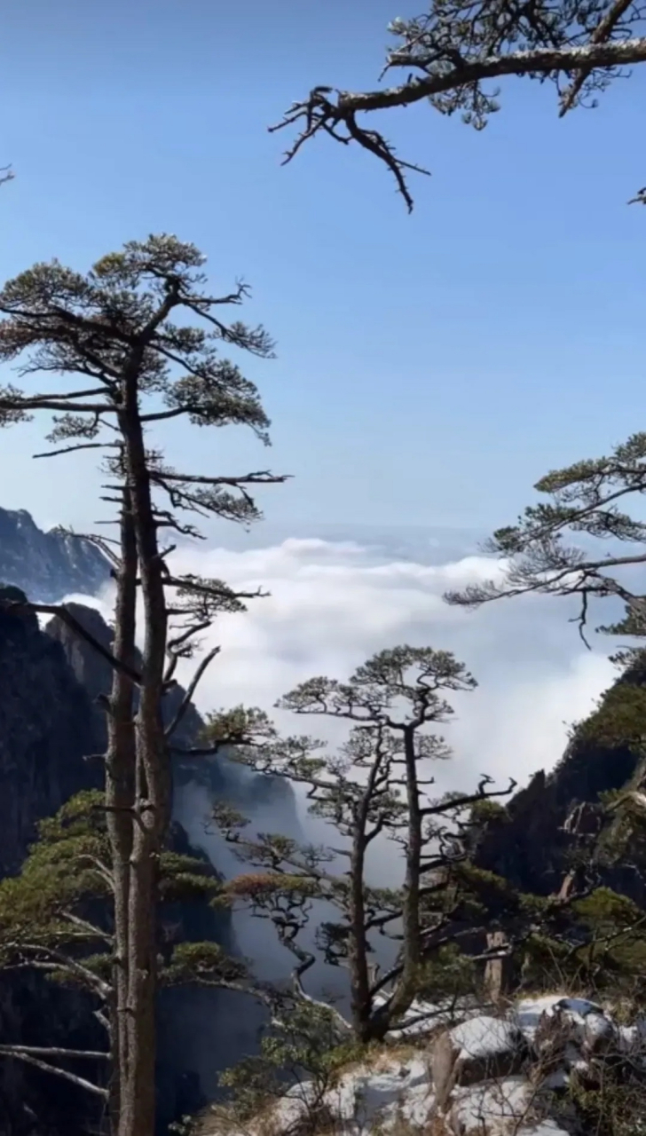 黄山雾海图片