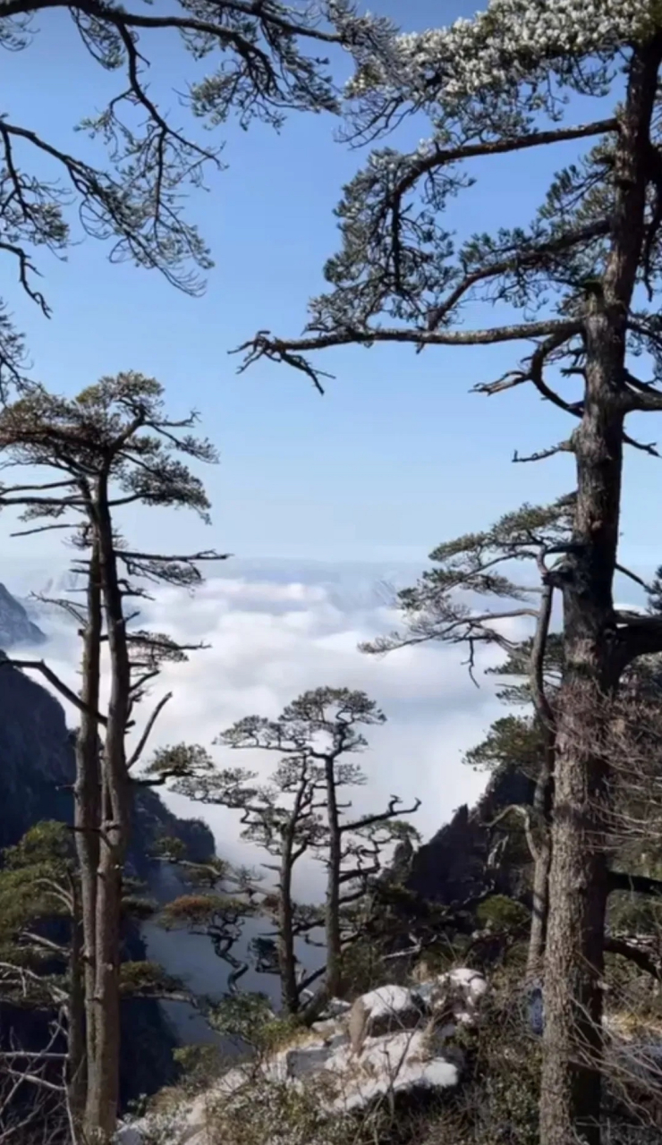 黄山雾海图片