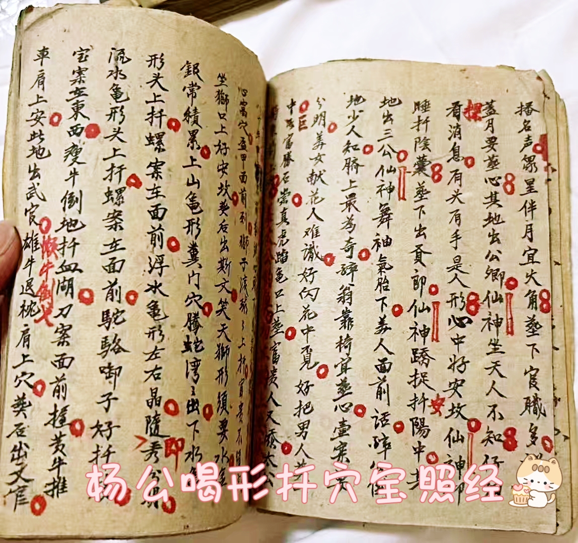 杨公喝形扦穴宝照经