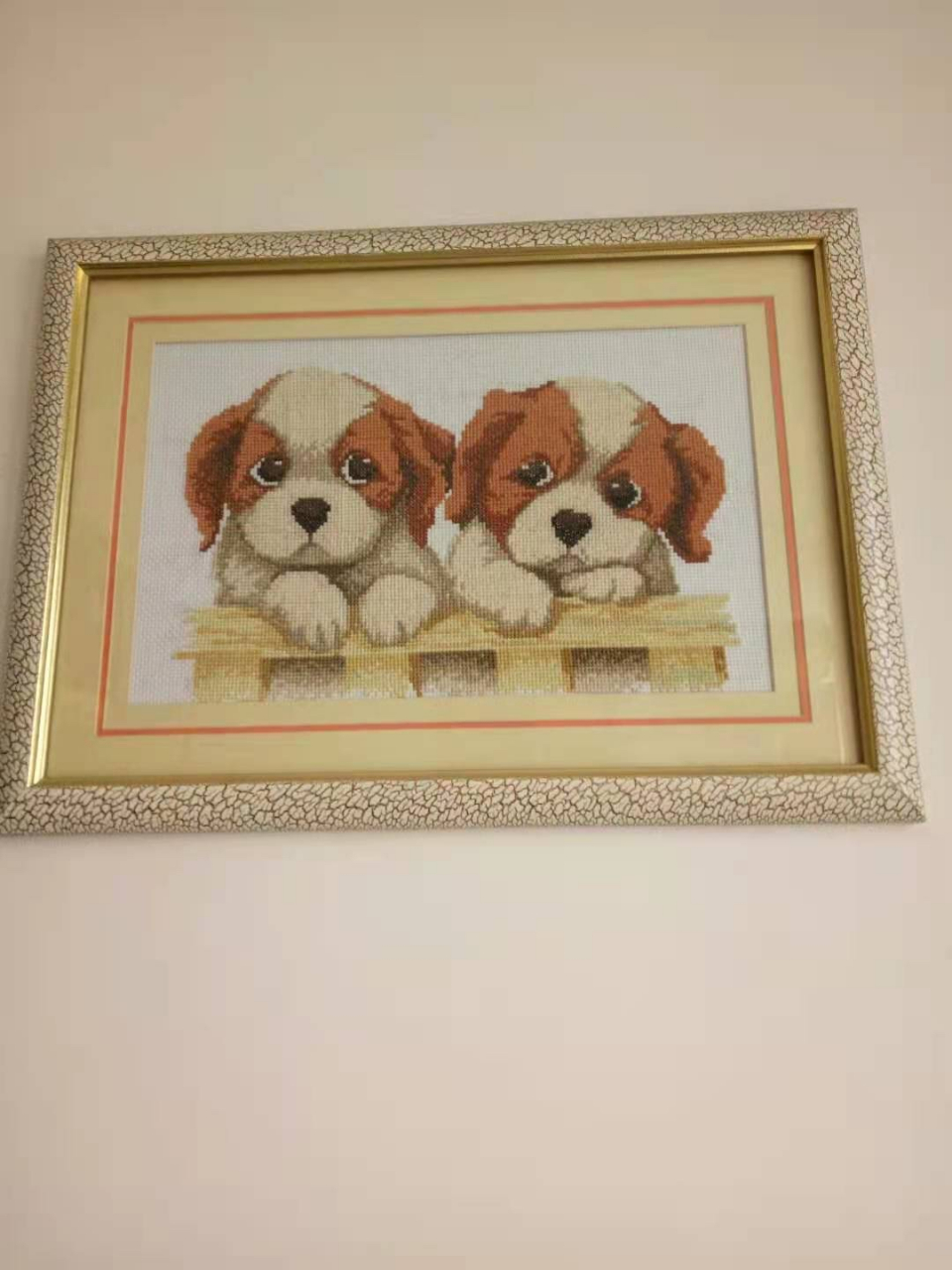 尽情的释放,爽朗的笑声,笑可以让你不用回答不想回应的话题,笑可以