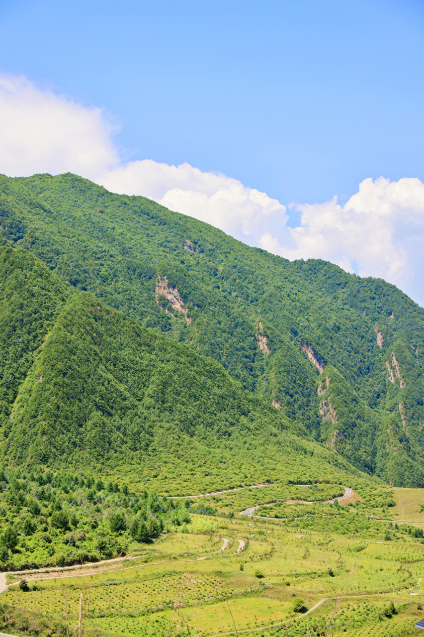 定西旅行‖去临洮南屏山,过一个诗意夏天9700  时隔两年再游定西