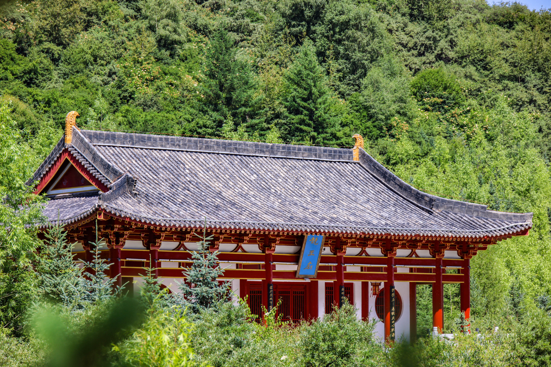 甘肃旅行‖渭河源20°的多巴胺夏天9699  78看遍世间繁华,方知