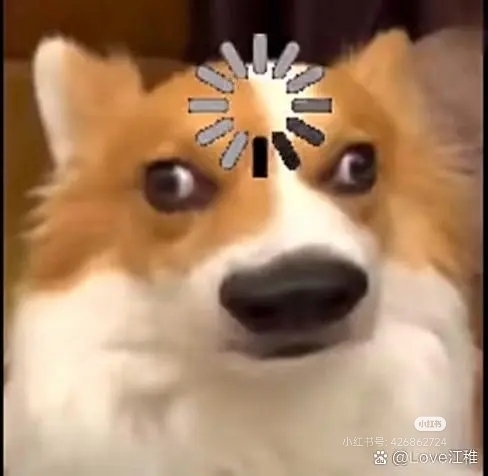 狗头表情包拿去用