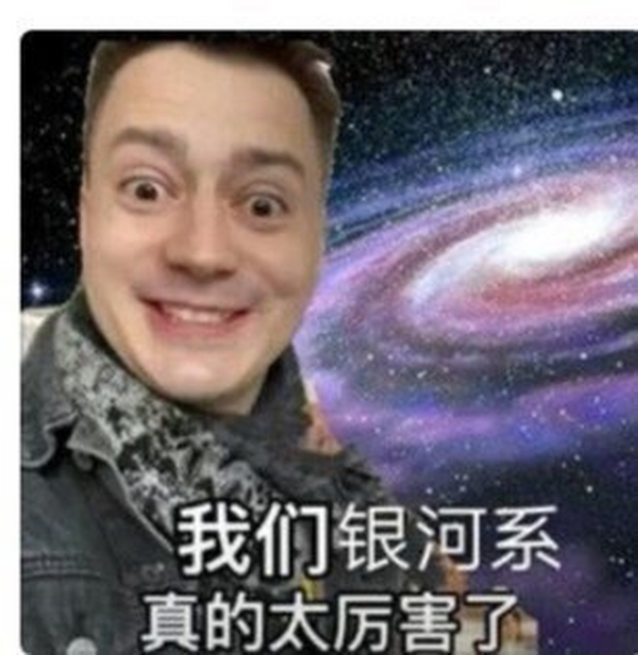 伏拉夫表情包图片