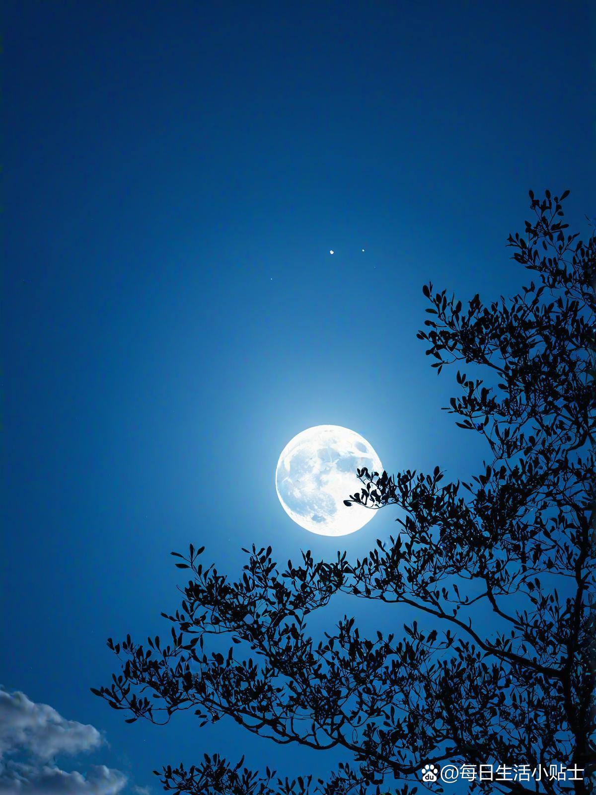 但许清风飘映雪, 幻空遥对碰杯干