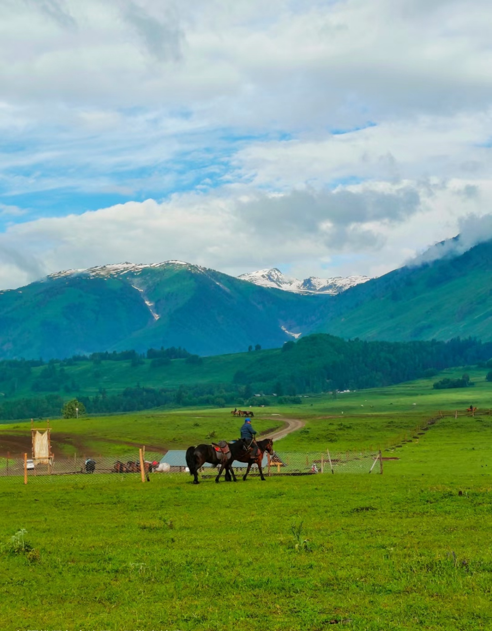 内蒙草原不了情(7)  说起黄河,人们就会联想到汹涌澎湃的壶口瀑布,而