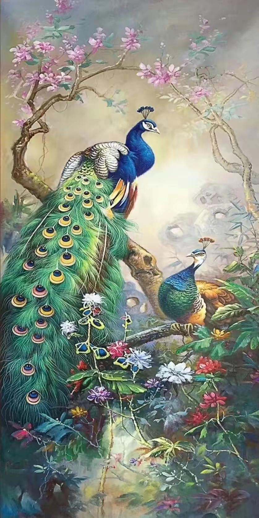 在晨曦的薄雾中,雄性孔雀昂首挺胸,长长的尾羽如同流动的诗篇,蓝绿白