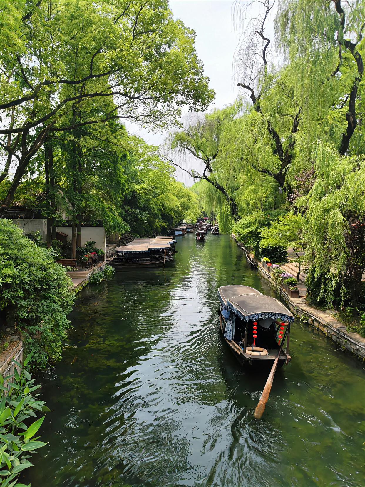 此情此景,宛如