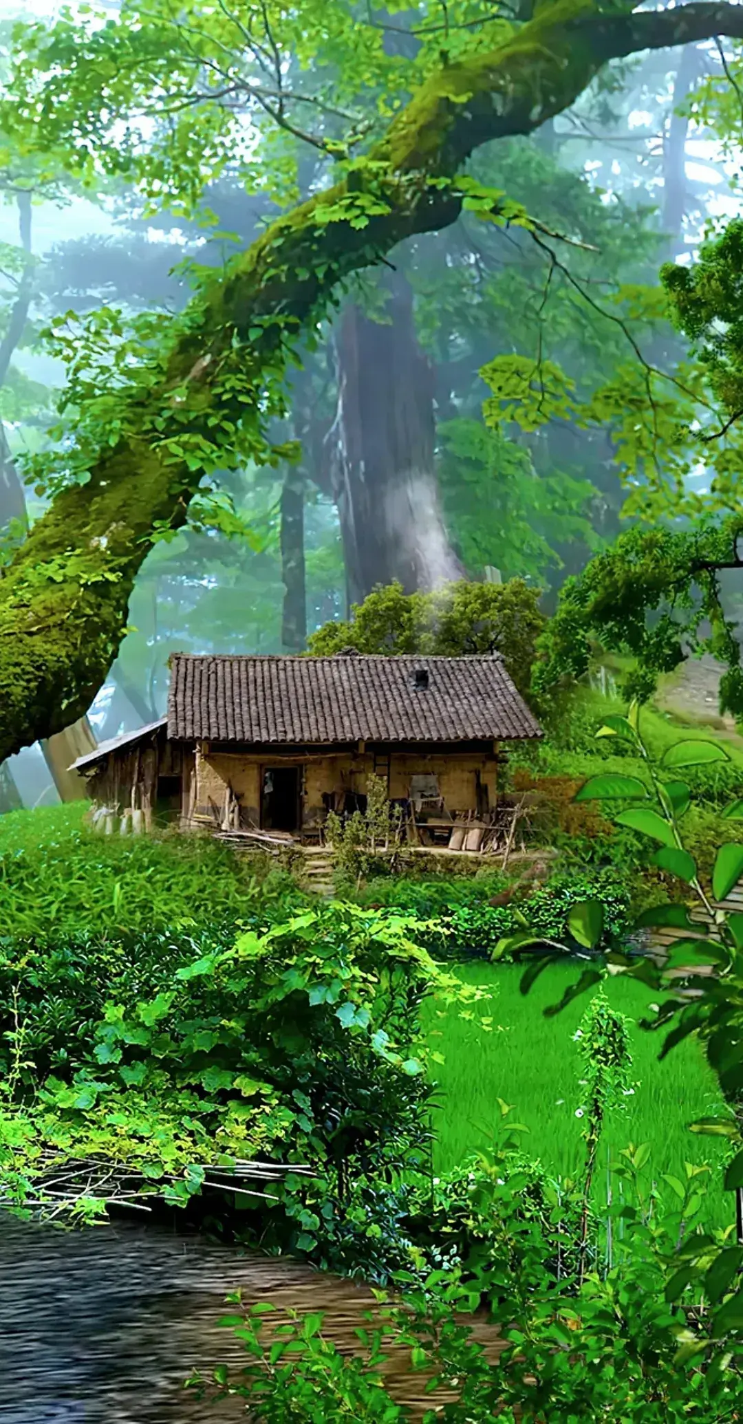 绿野仙踪,木屋小溪旁.静谧的自然,让人忘却尘世的喧嚣