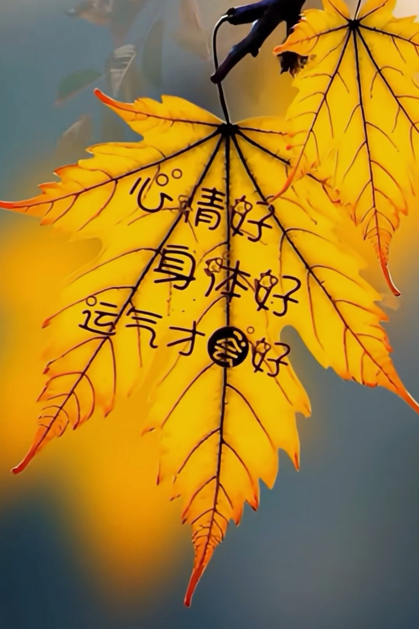 都说心宽则安,心态平和,心情会更好