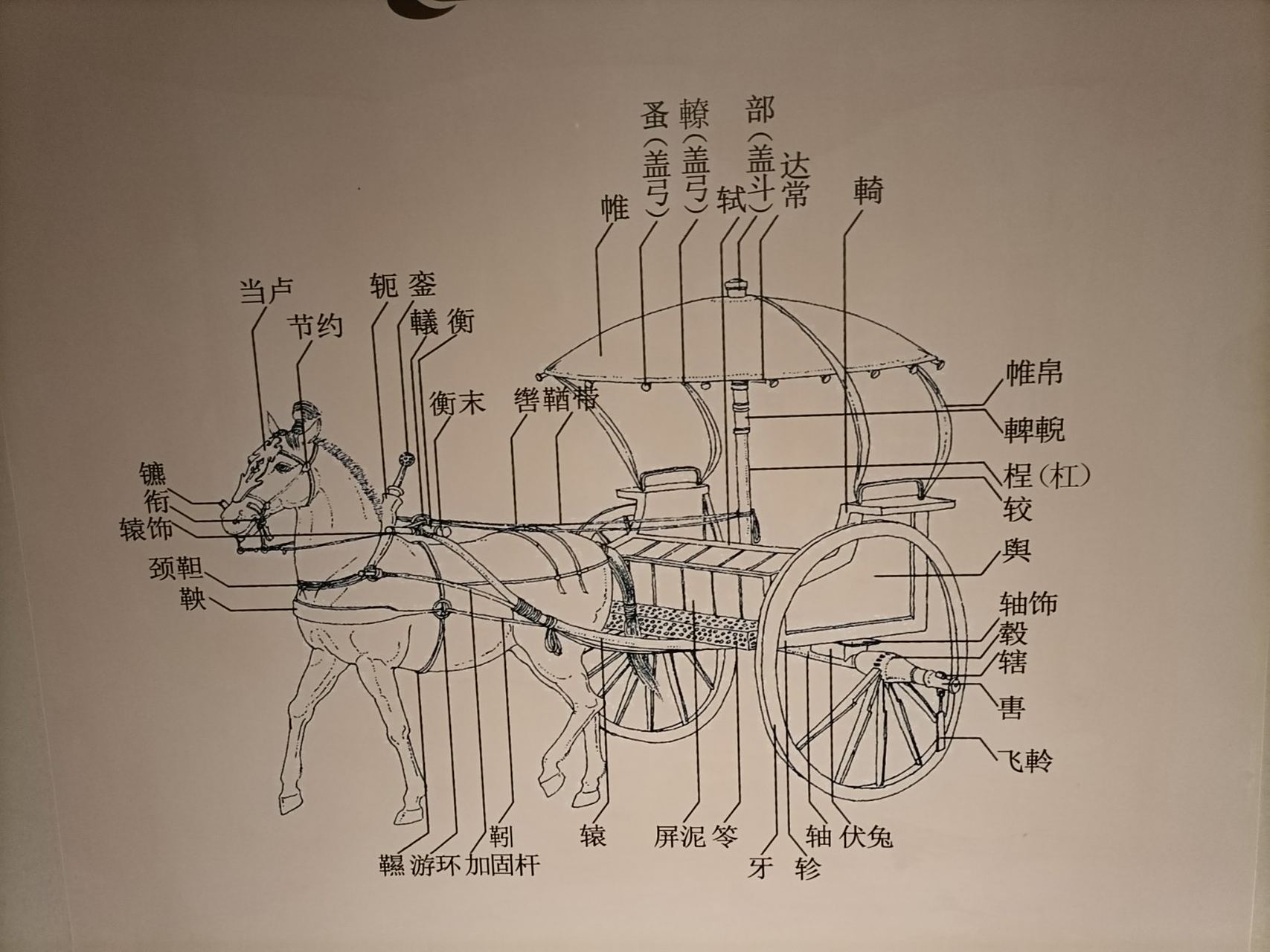 考古# 古人的马车并不简单,看看这复杂的构件名字,但坐起来绝对不