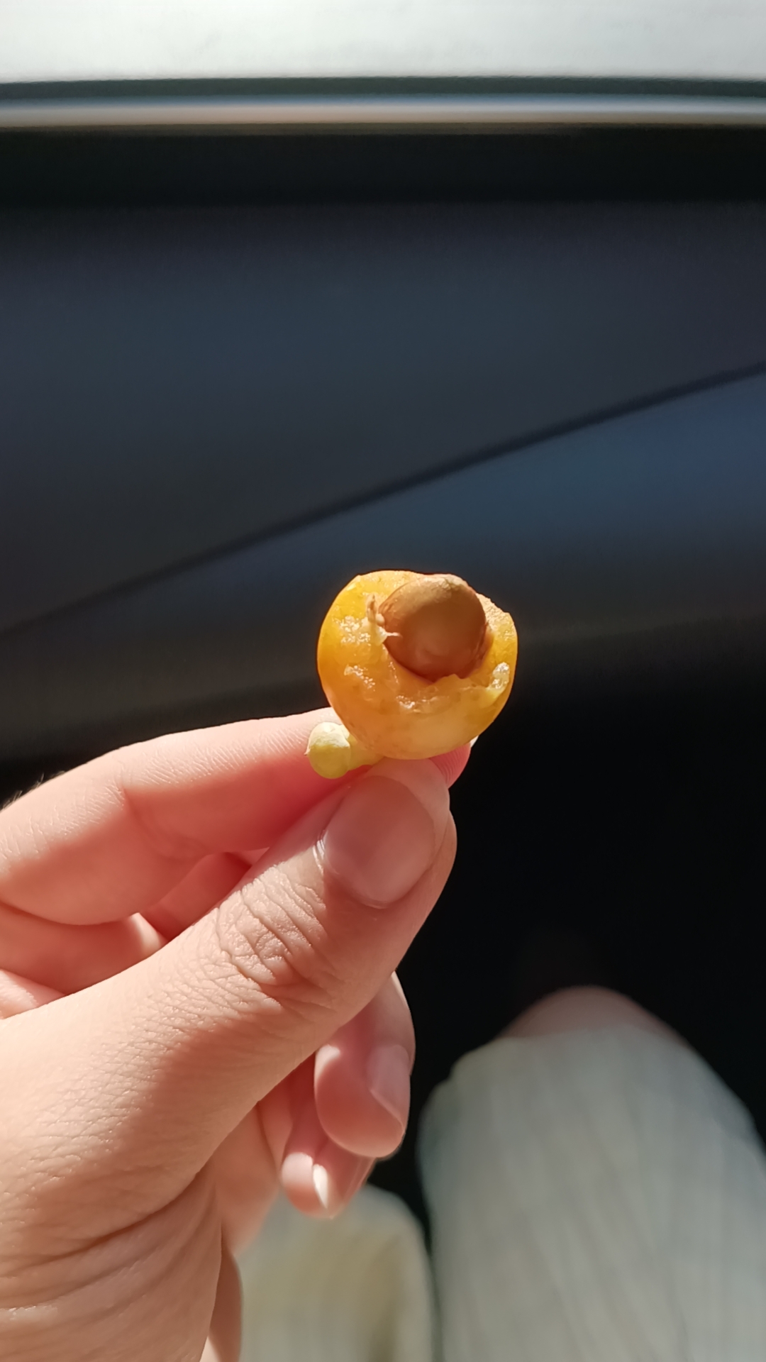 新鲜银杏果,听说生吃有毒,我帮大家试过了,微微甜特别涩