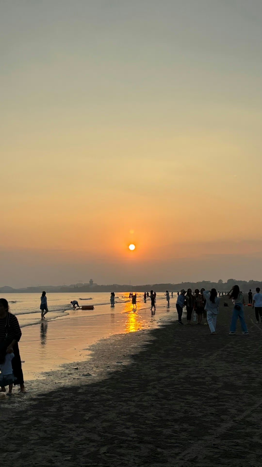 海鸥在海空中盘旋