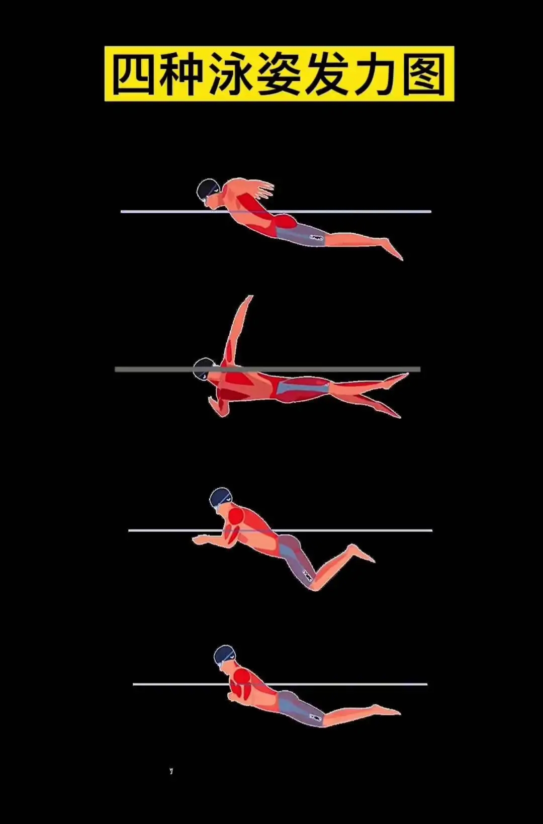 结果发现根本出不了水换不了气.于是换成全程蛙泳手蝶泳腿
