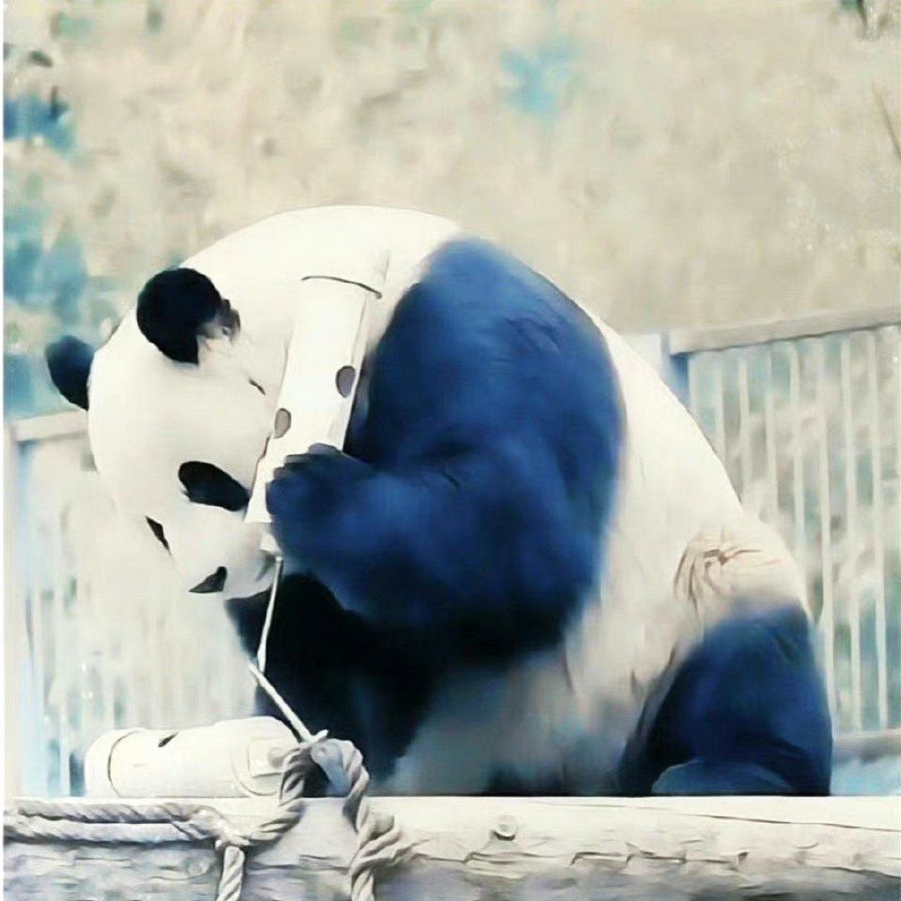 上海机场:这里是上海浦东国际机场,请问您是哪位?