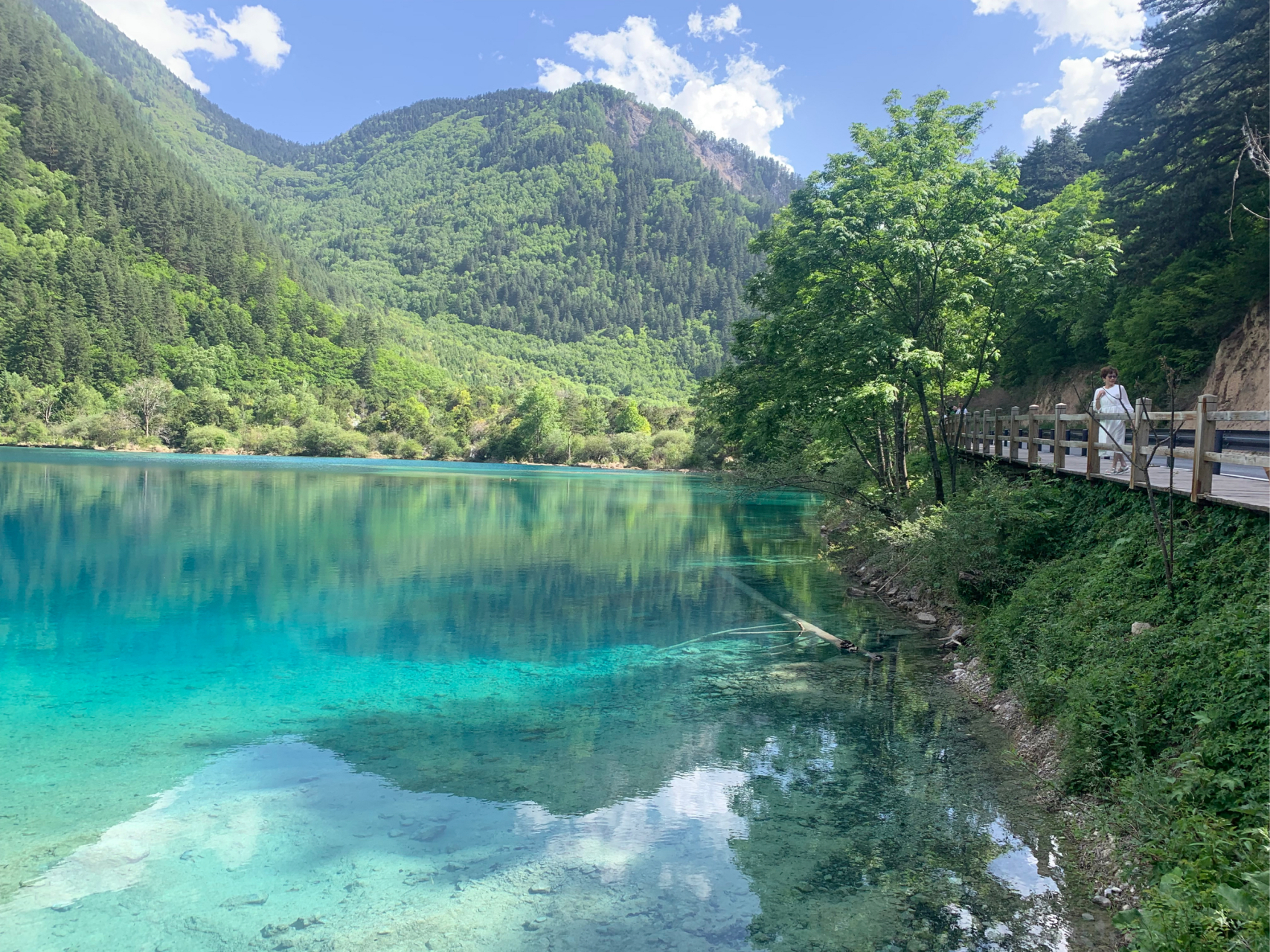 九寨沟五花海照片图片