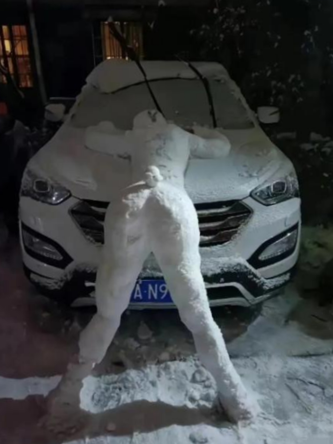 真正的雪怪图片