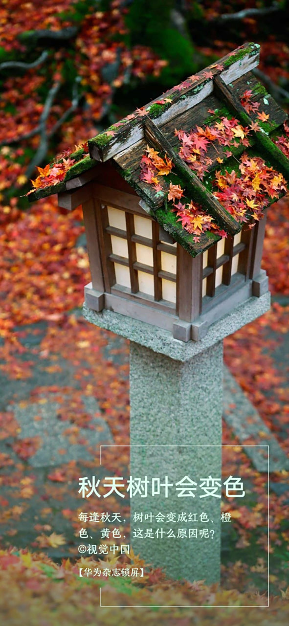 没有交集是关系疏远的开始