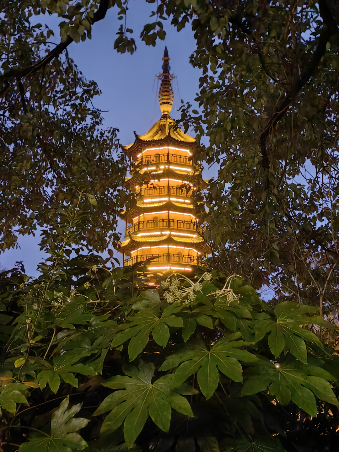 风雨交加下的万善塔夜景