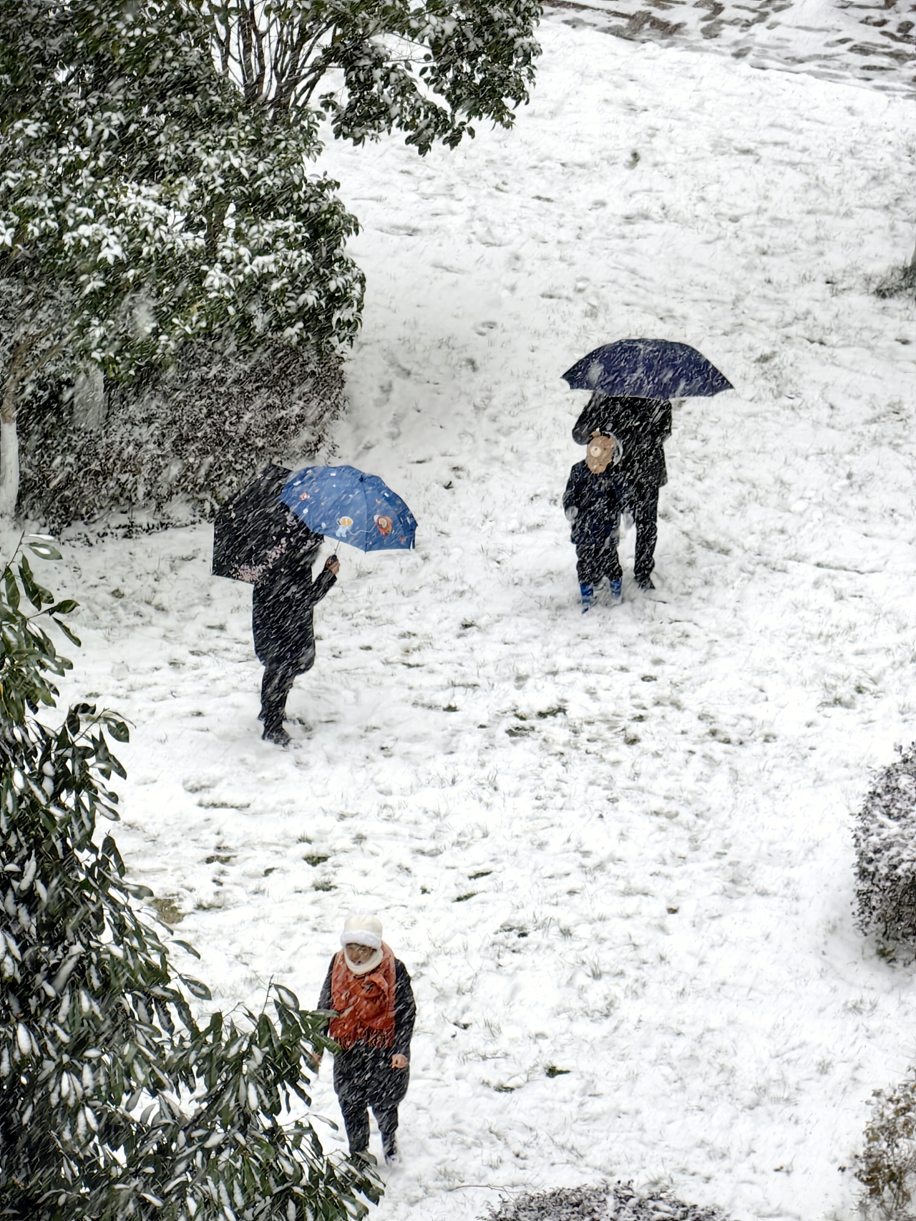 正在下雪照片图片