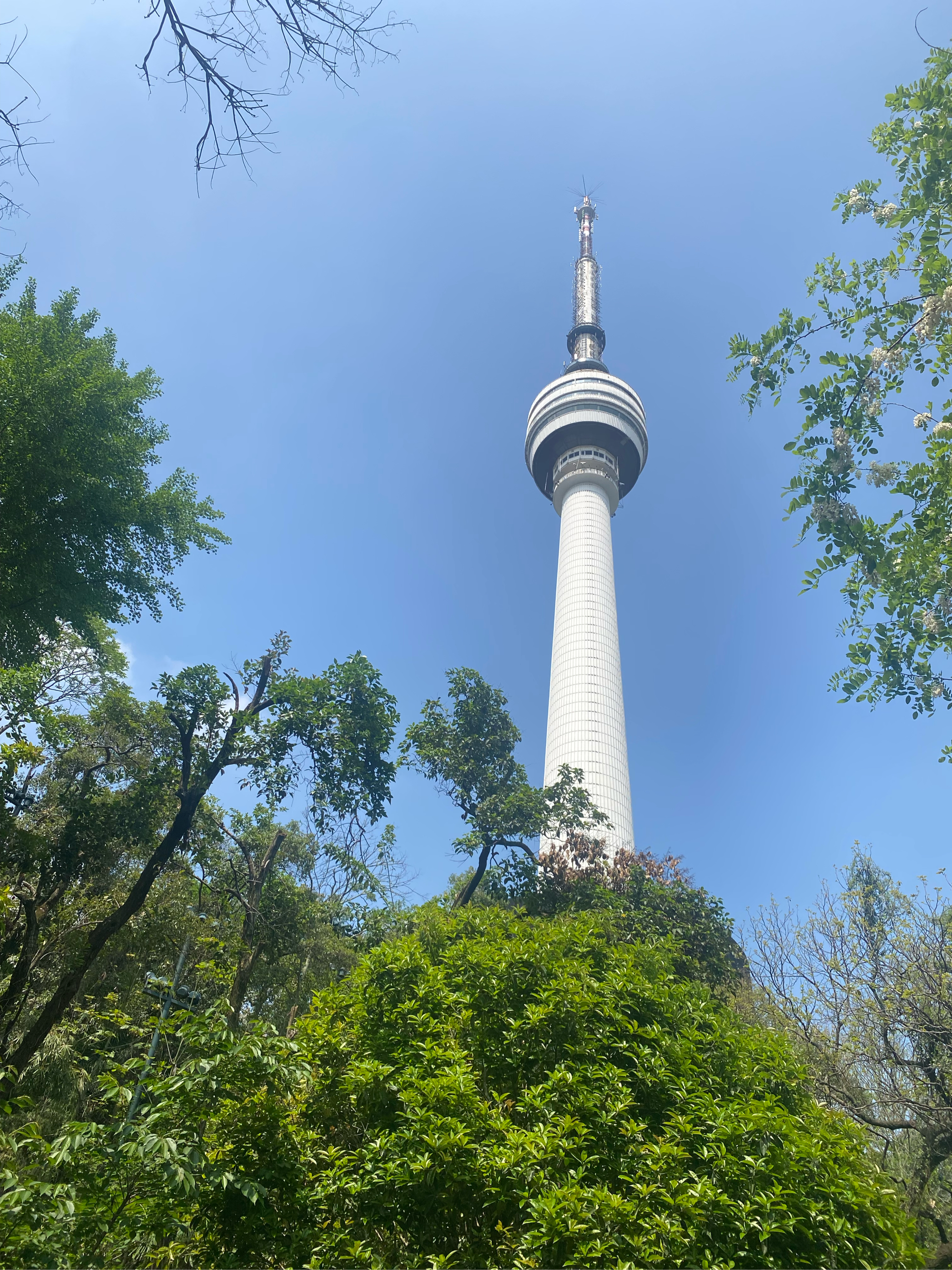 龟山电视塔景区图片