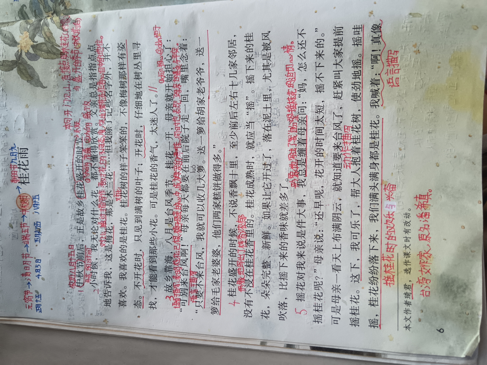 五年级上册课文桂花雨课堂笔记