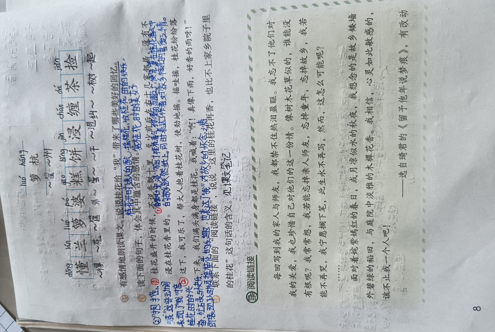 五年级上册课文桂花雨课堂笔记
