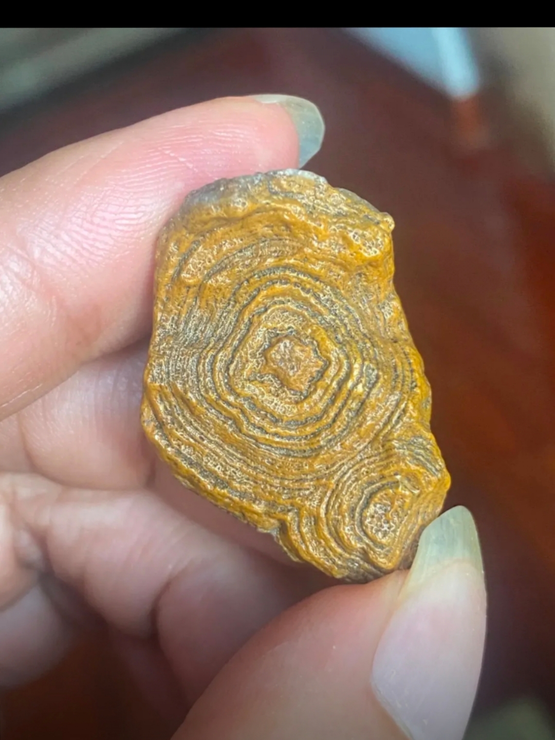 上周去旅游在景区捡到的石头,我看着很是不一般,上