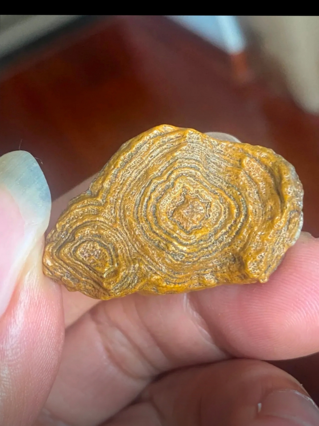 上周去旅游在景区捡到的石头,我看着很是不一般,上面有着一圈一圈的