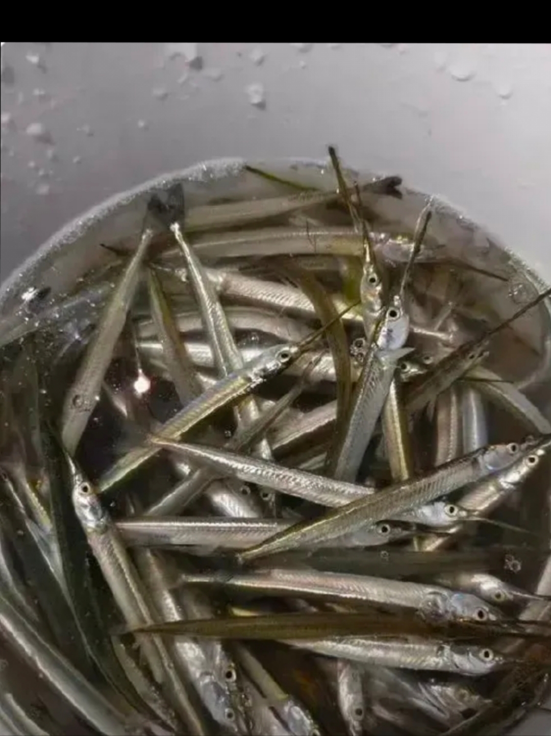 可是我仔细一看,这些小鱼的嘴都尖尖的,这不像是普通的淡水鱼,谁知道