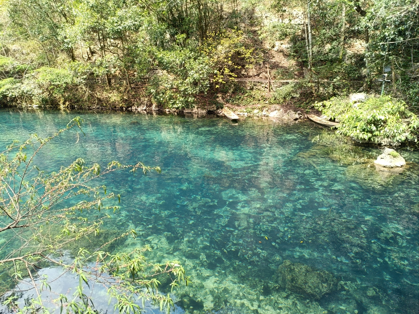 贵州荔波小七孔景区的卧龙潭真的超美