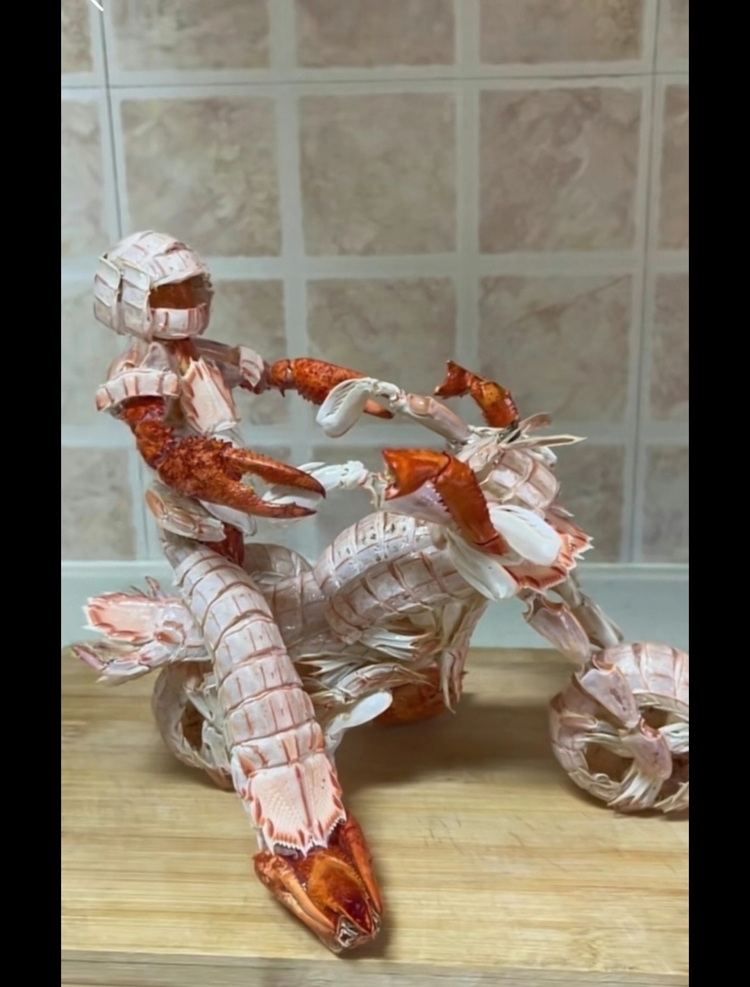 骑着皮皮虾去流浪