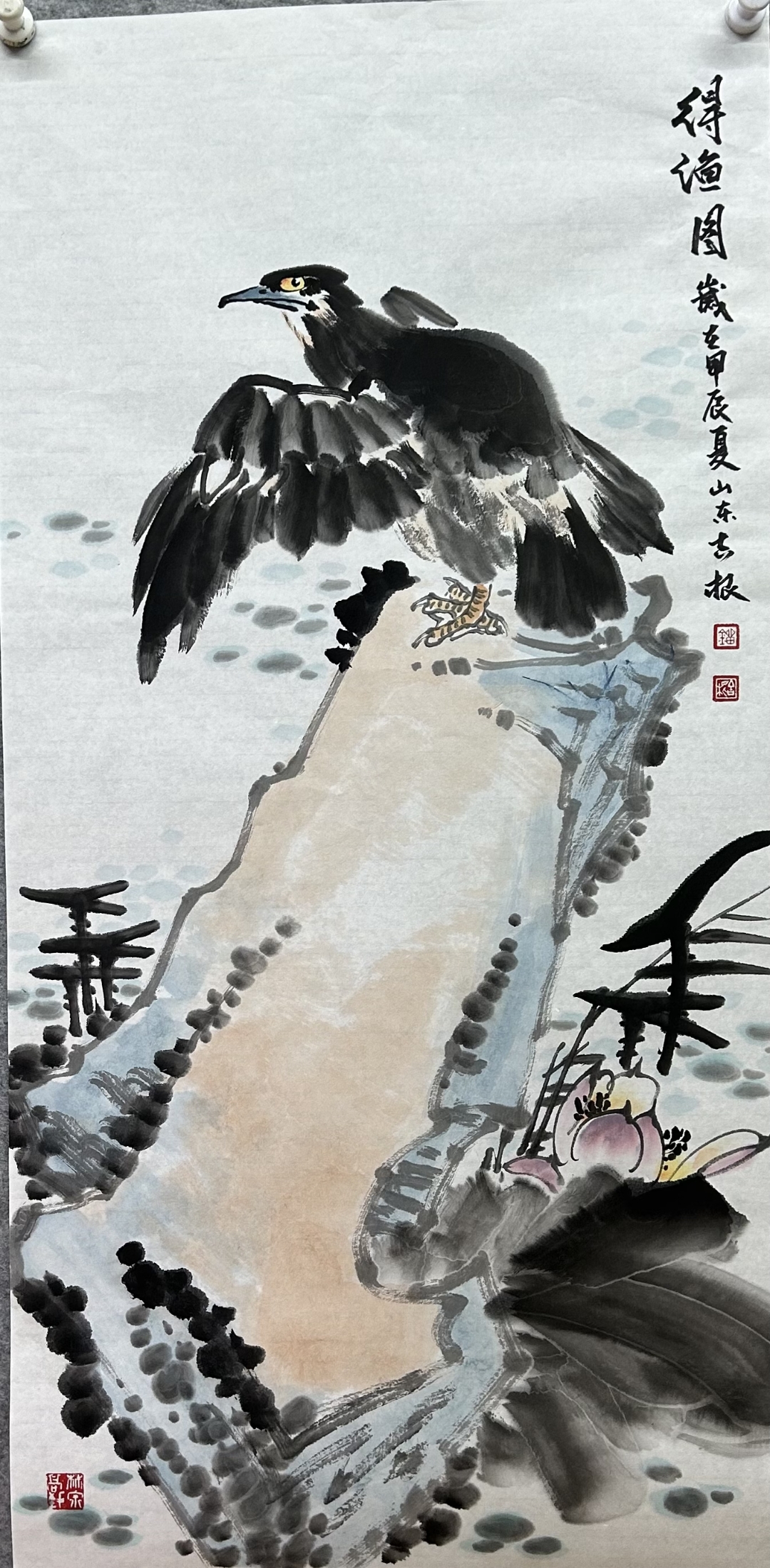 池塘边,水波轻摇,圈圈涟漪,鸬鹚悠闲游,粉荷点缀,如诗如画