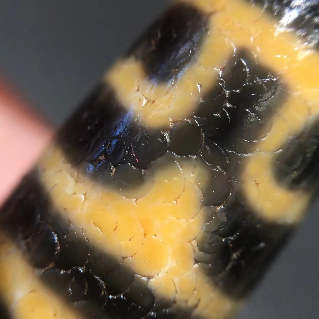 老料虎牙莲花天珠 品相完美 风化细腻 收藏级别 尺寸:12x36mm