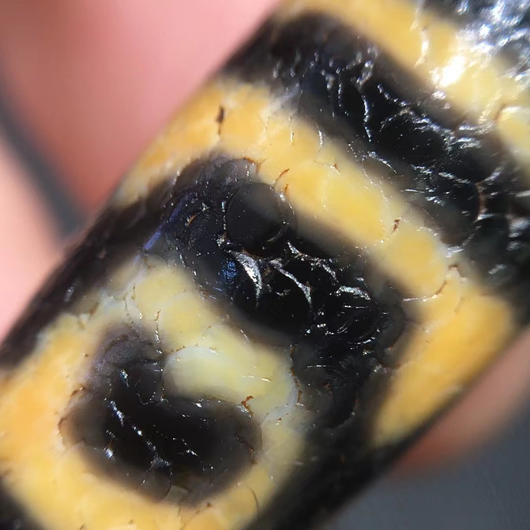 老料虎牙莲花天珠 品相完美 风化细腻 收藏级别 尺寸:12x36mm