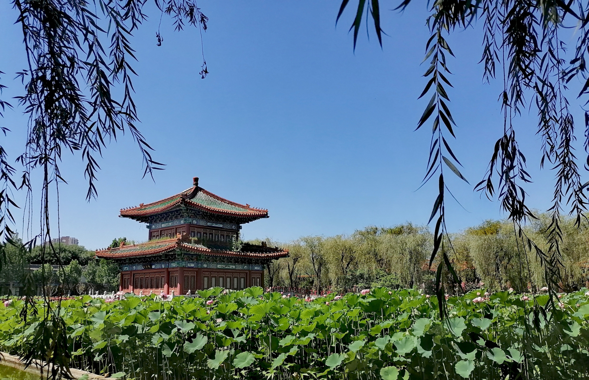 感悟人生# 香河第一城景区   位于香河安平开发区 靠近廊坊  某央企