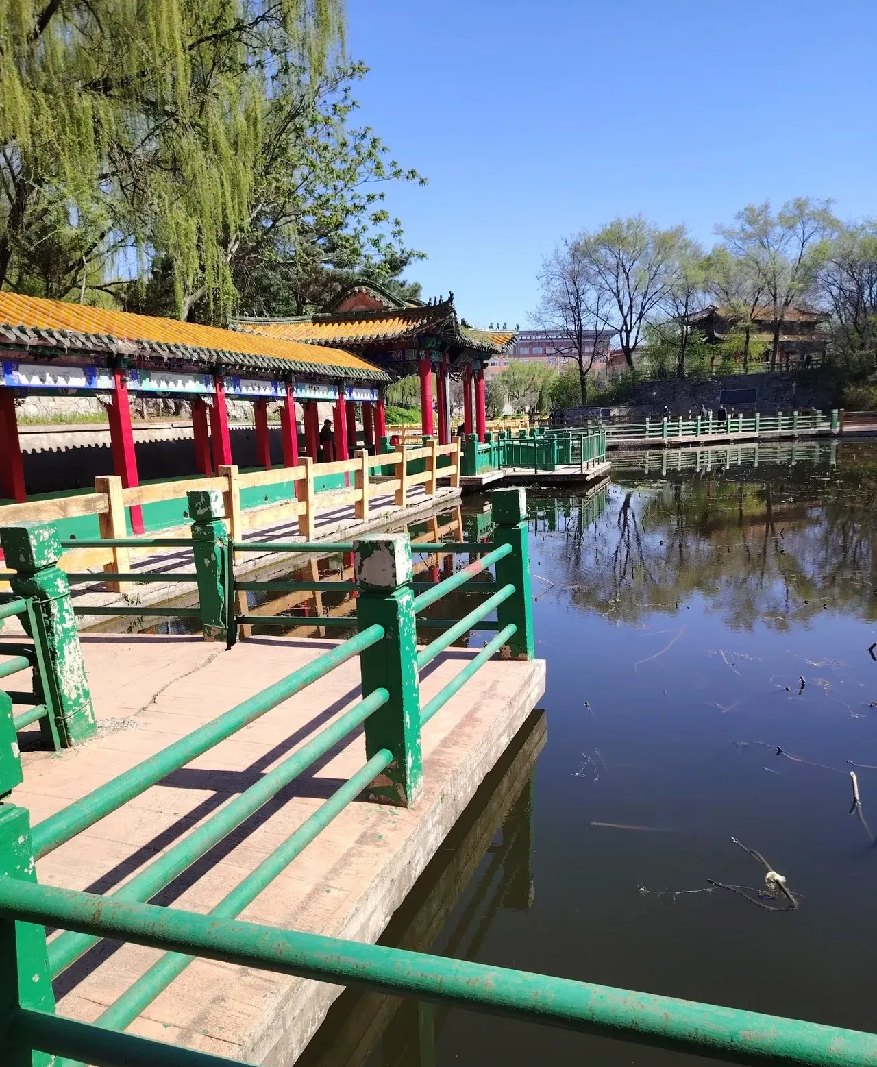 名医早逝与九旬"病弱翁"长寿,命运剧本为何如此荒诞?