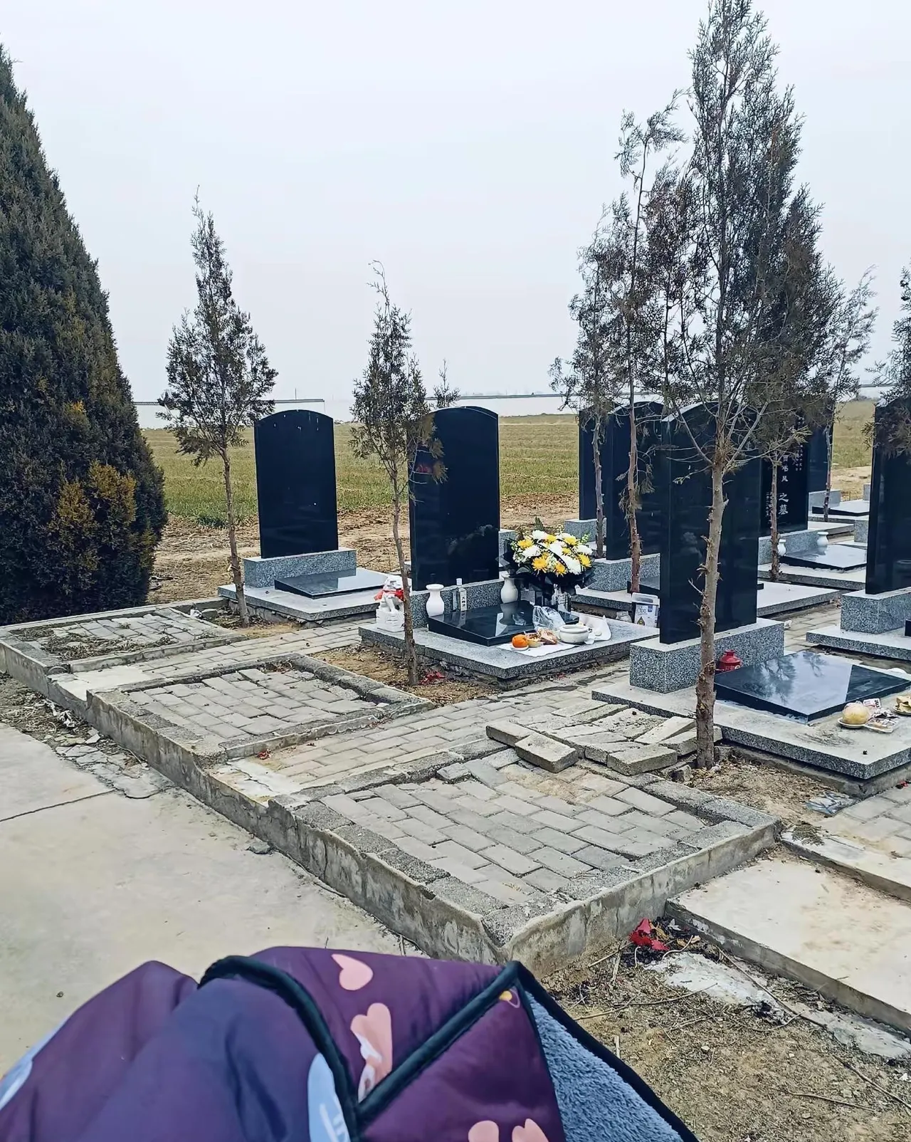 别人都在阖家团圆,我们却只能以这样的方式"见面"