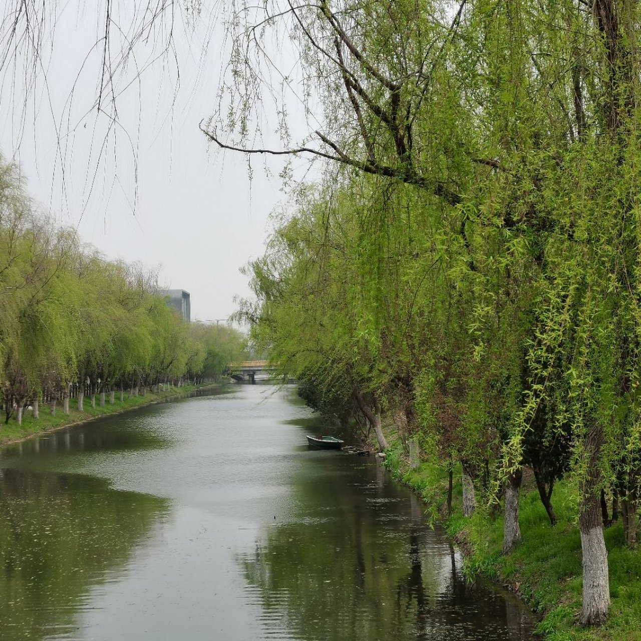 早春二月,浦东新区机场镇,施新路.