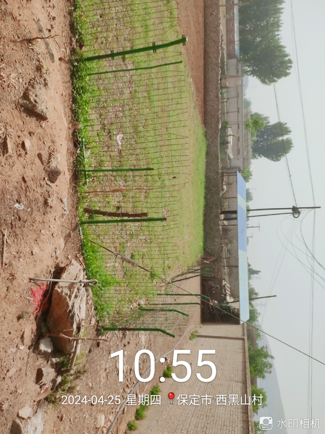 南水北调边上新盖的牛逼羊圈在保定市徐水区大王店镇西黑山村北头