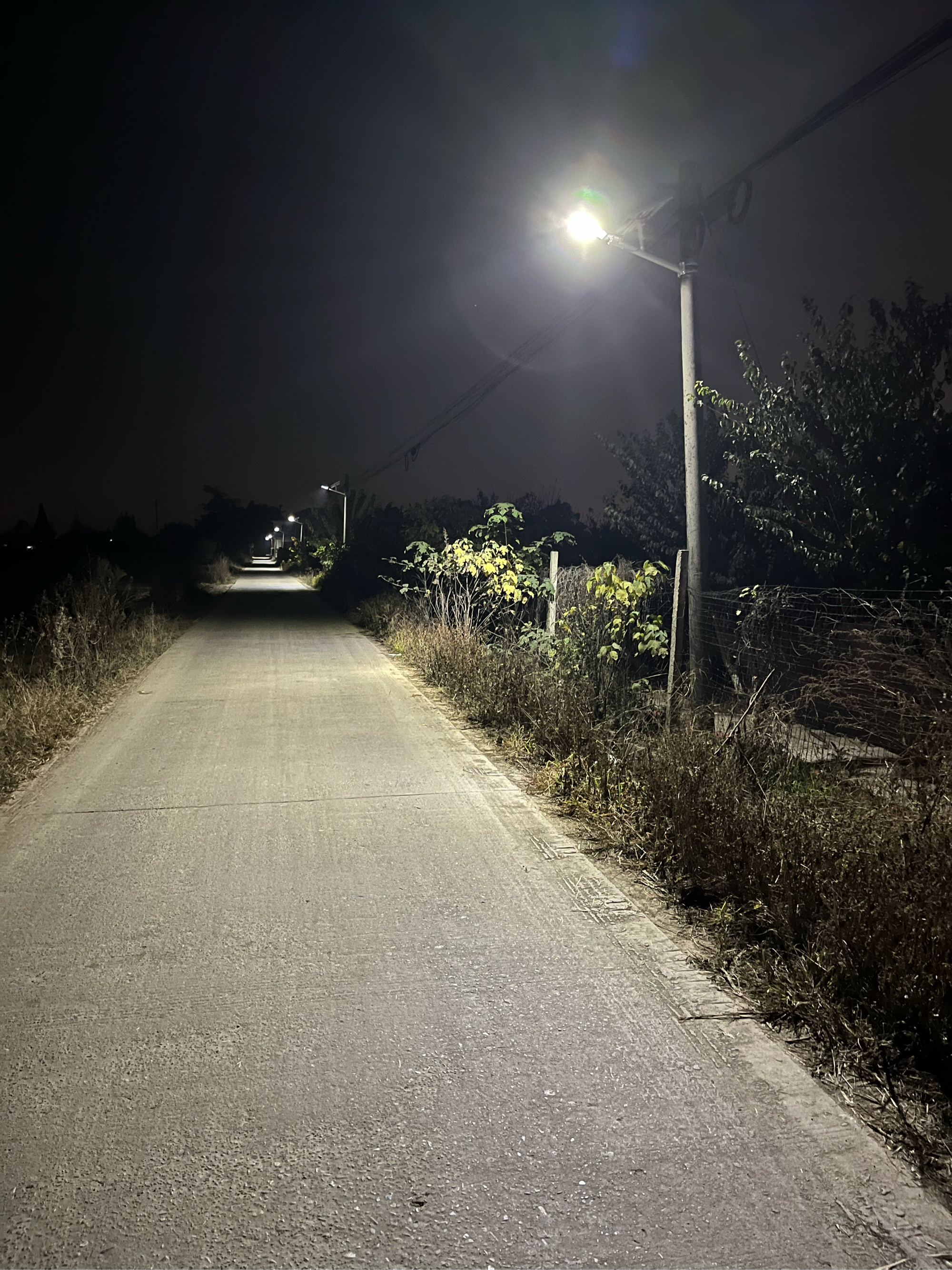 夜晚乡间小路图片大全图片