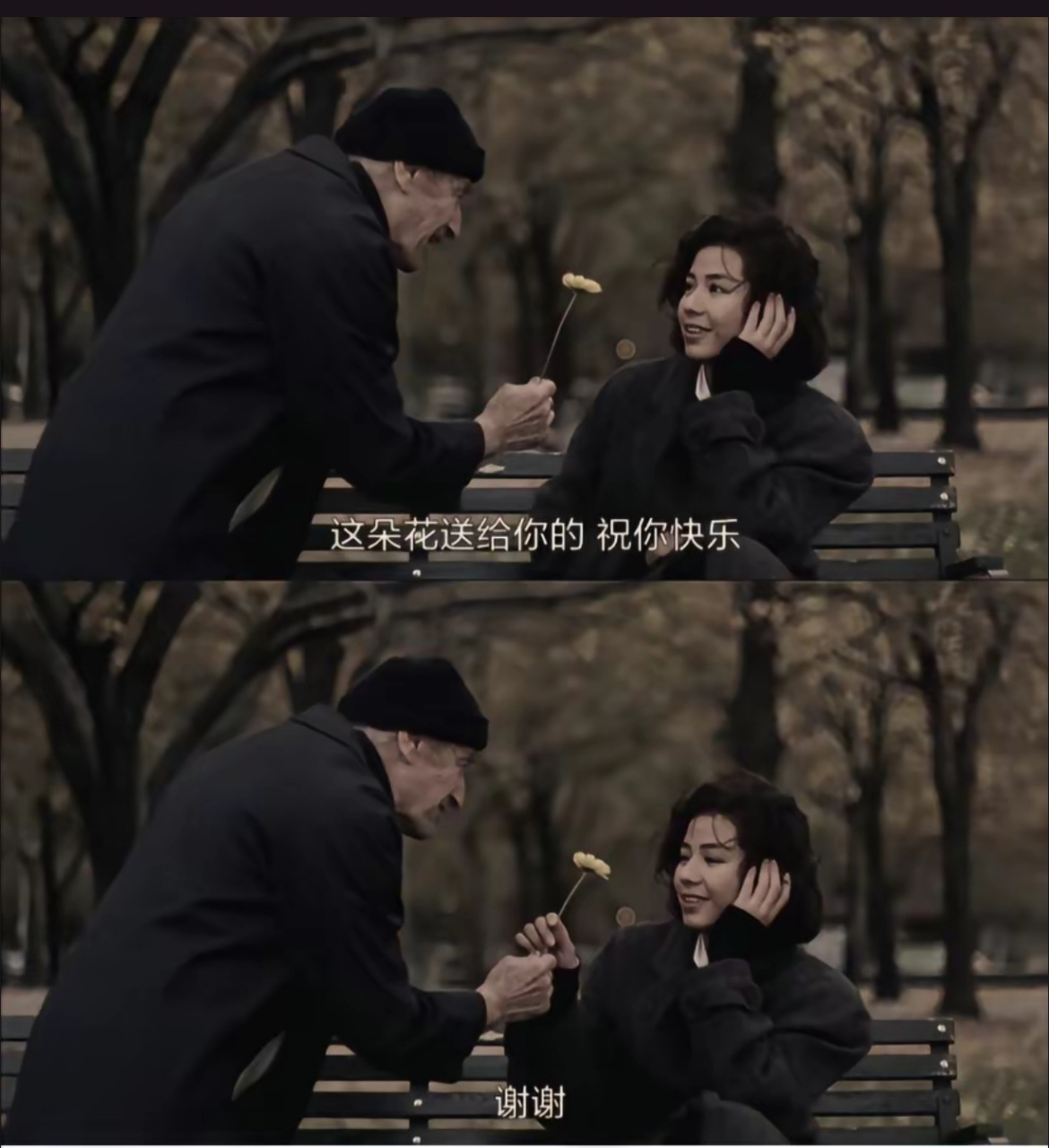 这朵花送给刷到这条的你 祝你快乐.