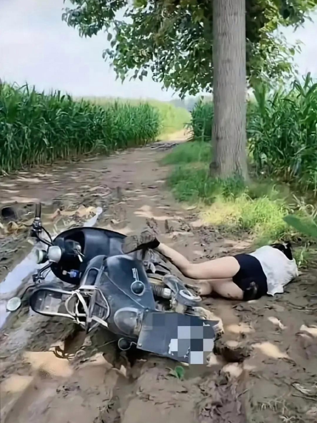 个路也不好走,你看这骑车回家路打滑,结果就摔了个四脚朝天一雨天路滑