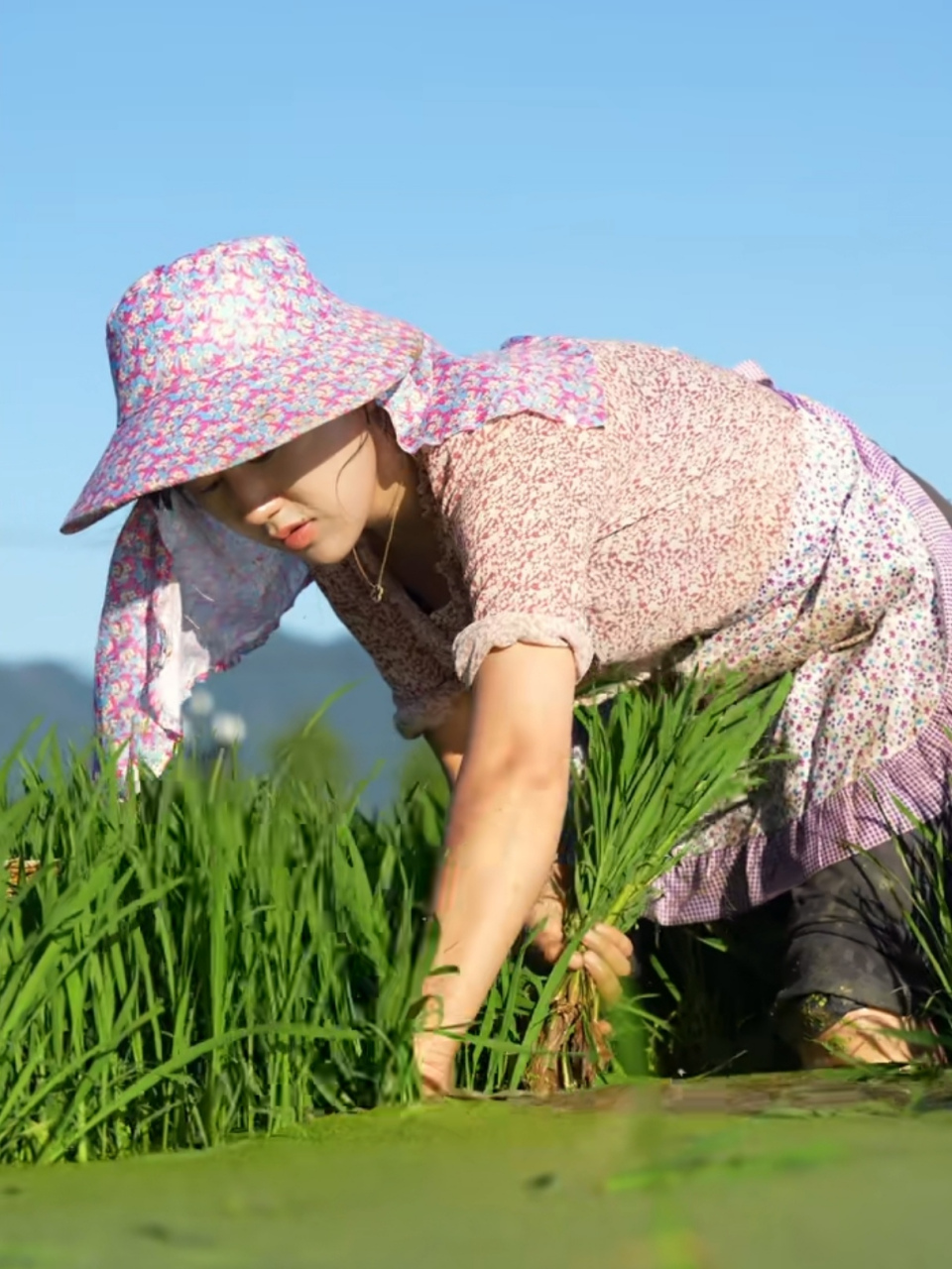 沈丹,武夷乡愁短视频网红,最美中国女人[鲜花]