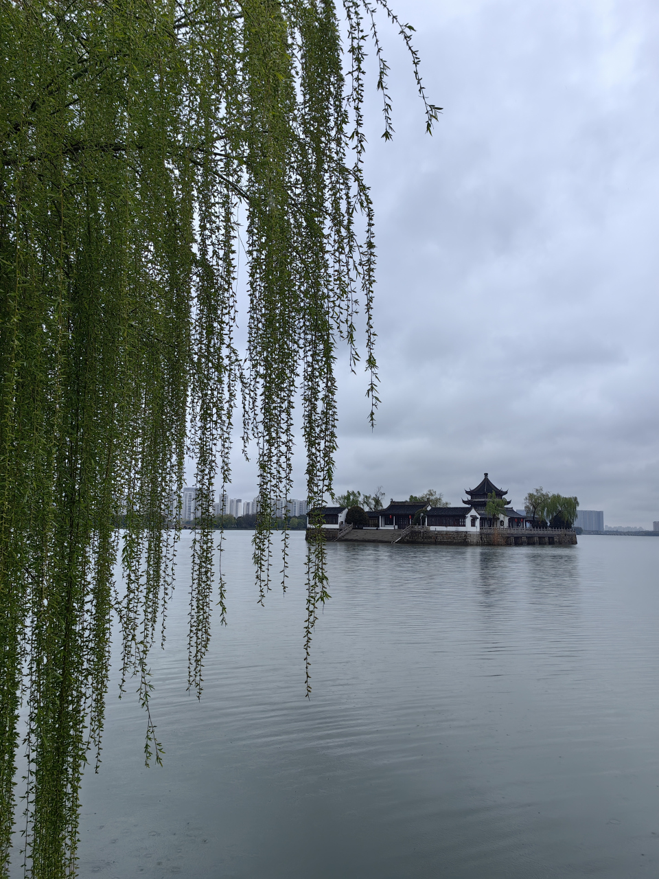 三月里的小雨配图图片