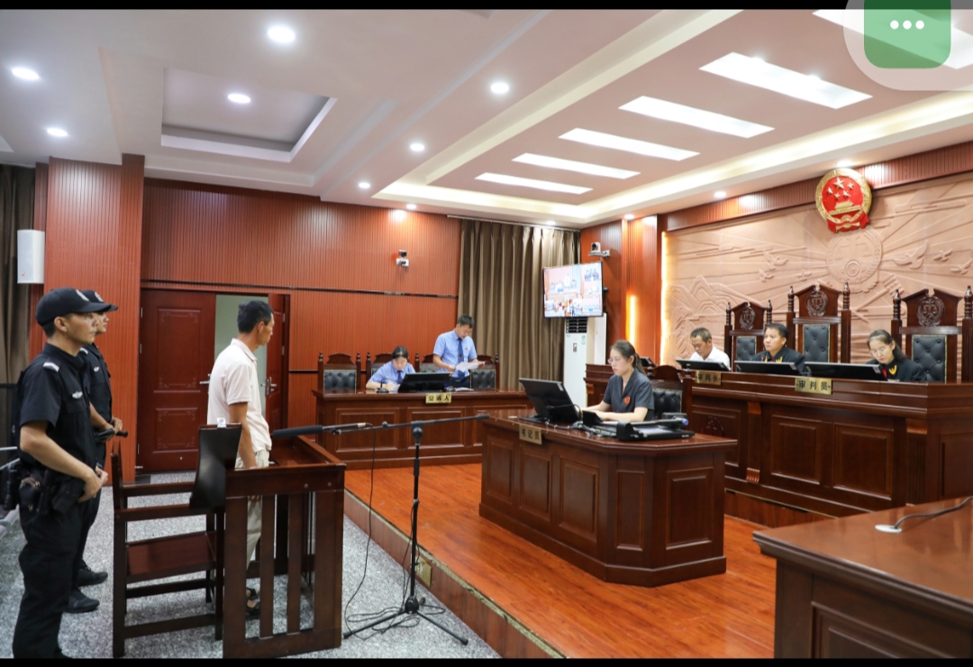 论"少杀慎杀"与被害人权益的平衡之辨