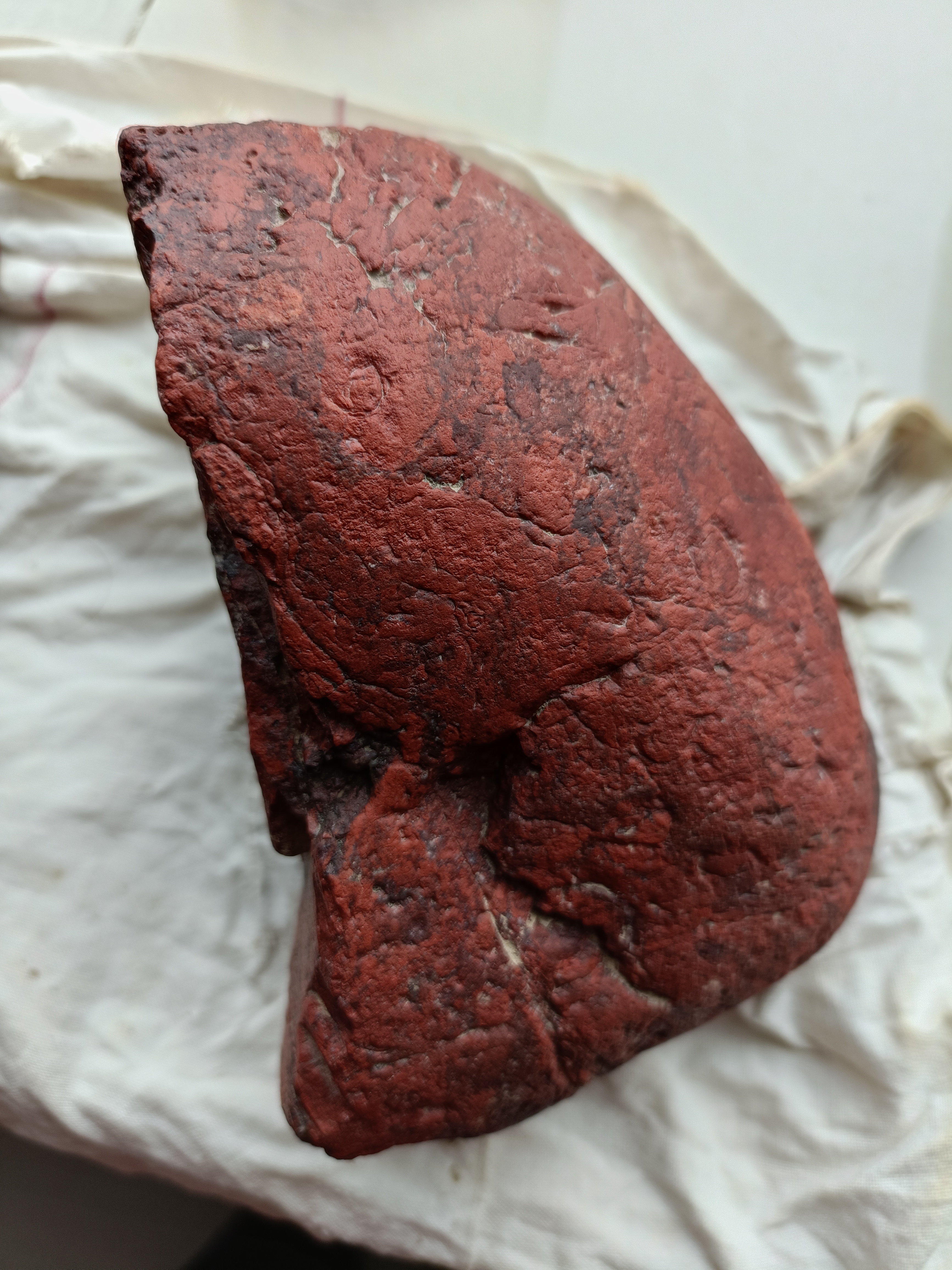 今天出去玩时捡了这块红色石头,不知道是什么石?