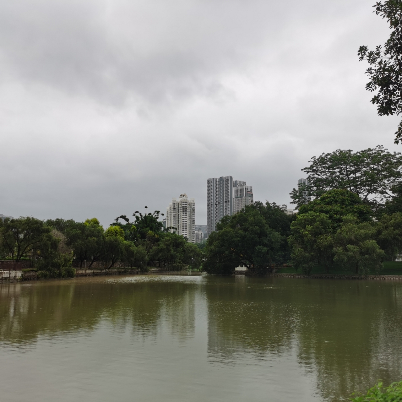 深圳市红湖公园湖光春色