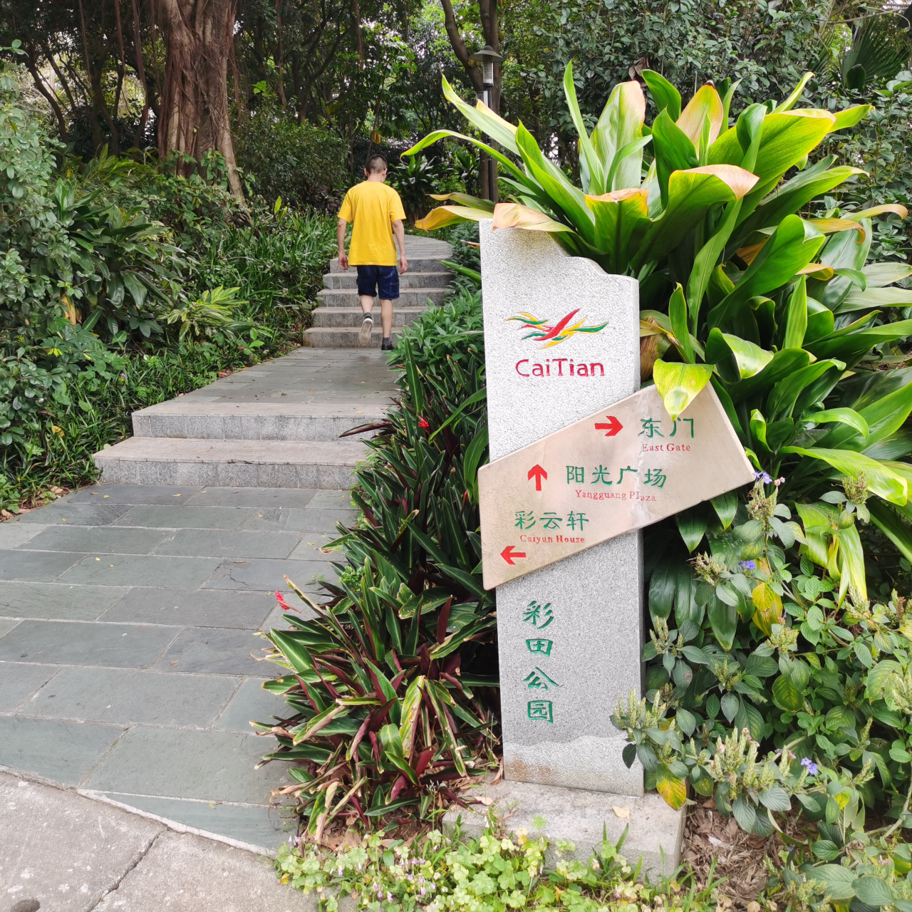 深圳彩田村公园