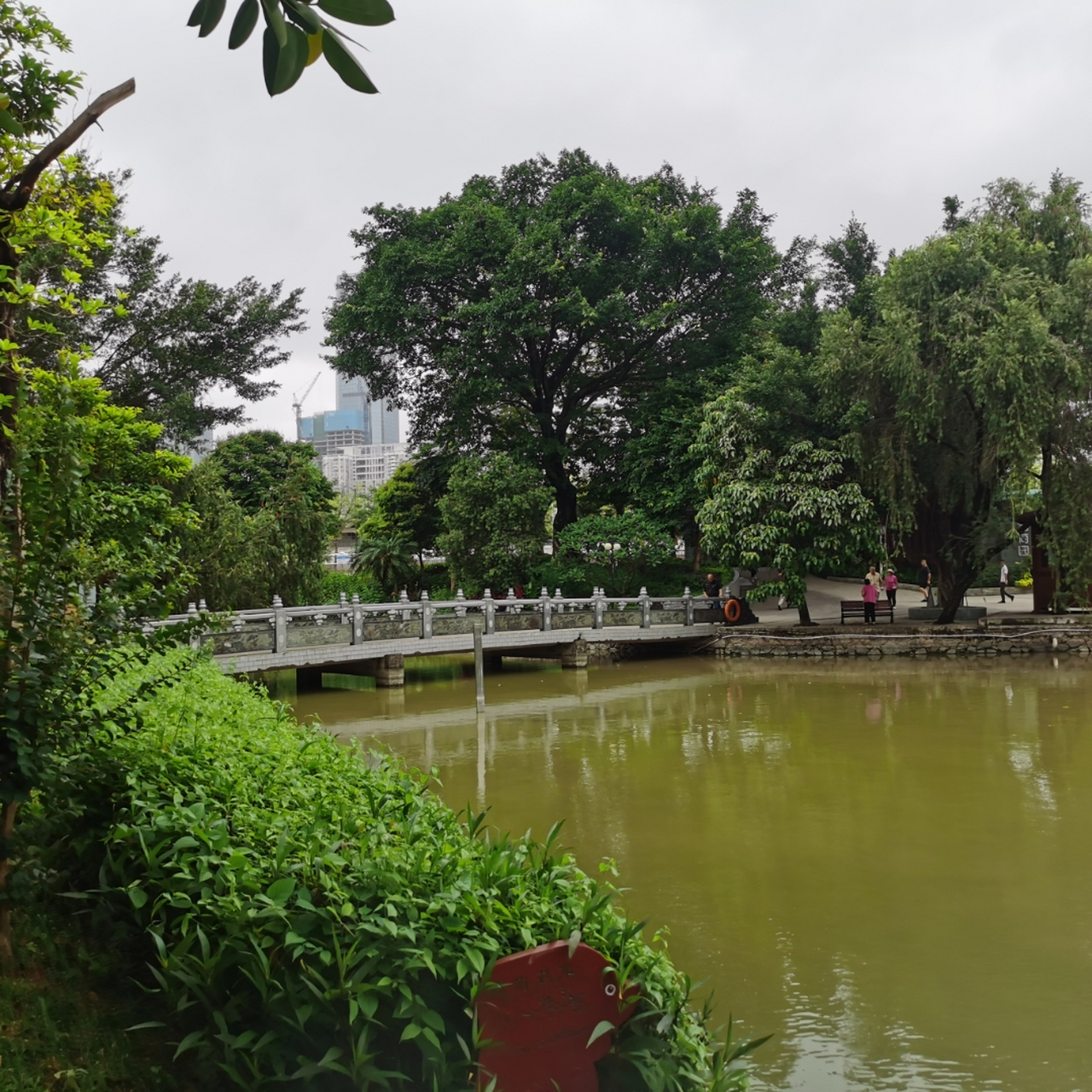 深圳市红湖公园湖光春色